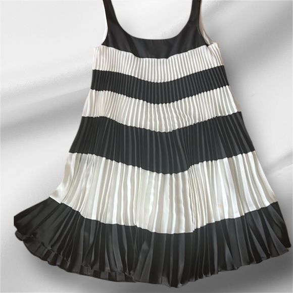 Suzy Chin Pleated Stripe Dress Size 6 - Picture 1 of 6